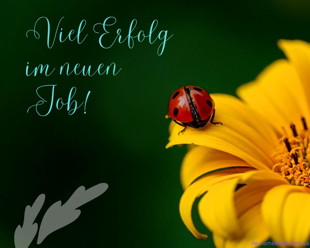  letzter Arbeitstag Spruch Abschied Kollege danke 